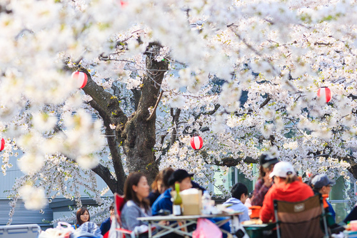 180430tamura10.jpg