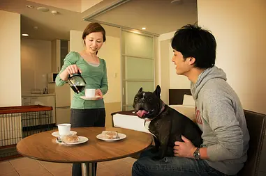 ペットと一緒に函館へ行こう！
