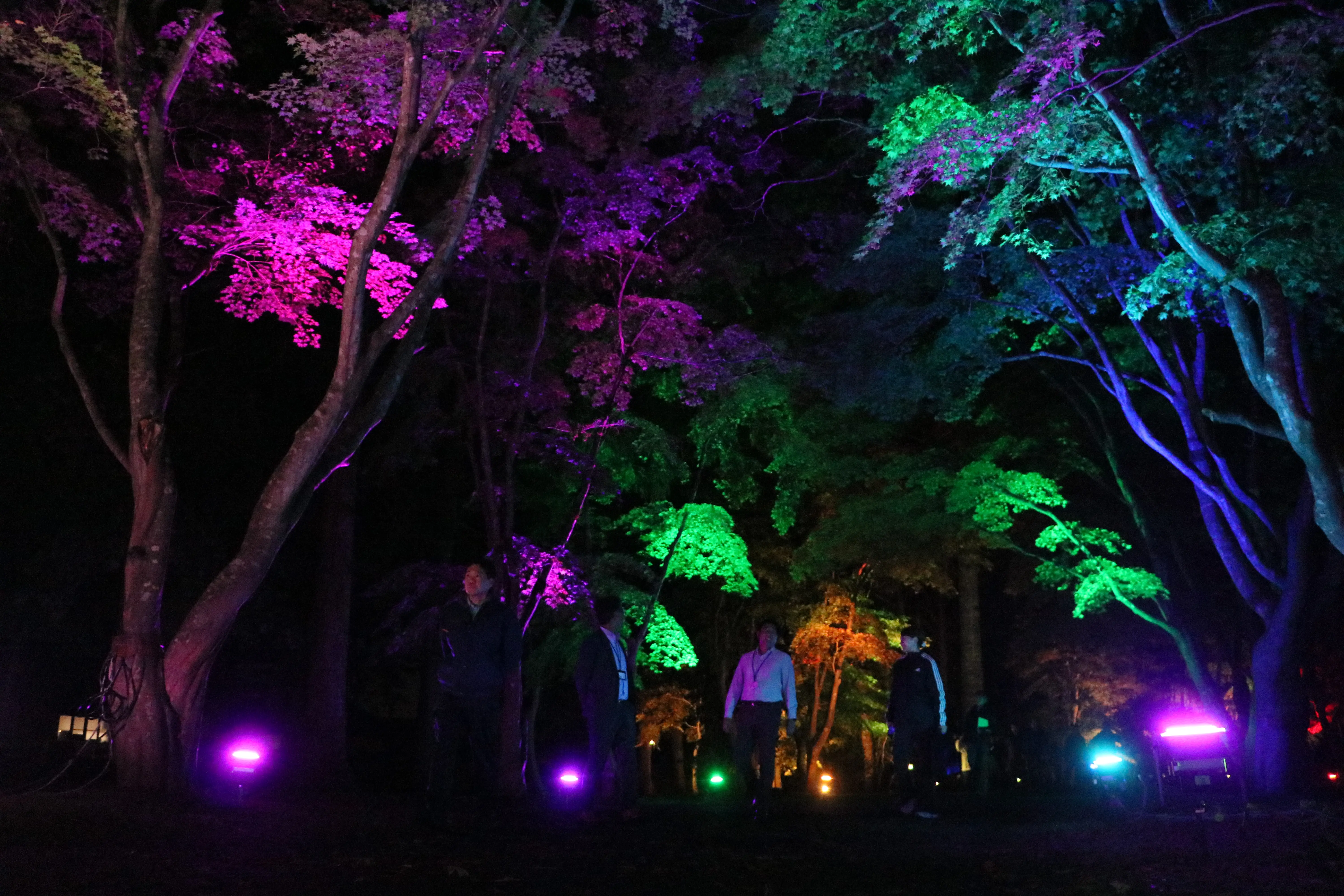 ※函館新聞撮影※見晴公園10月14日１.JPG