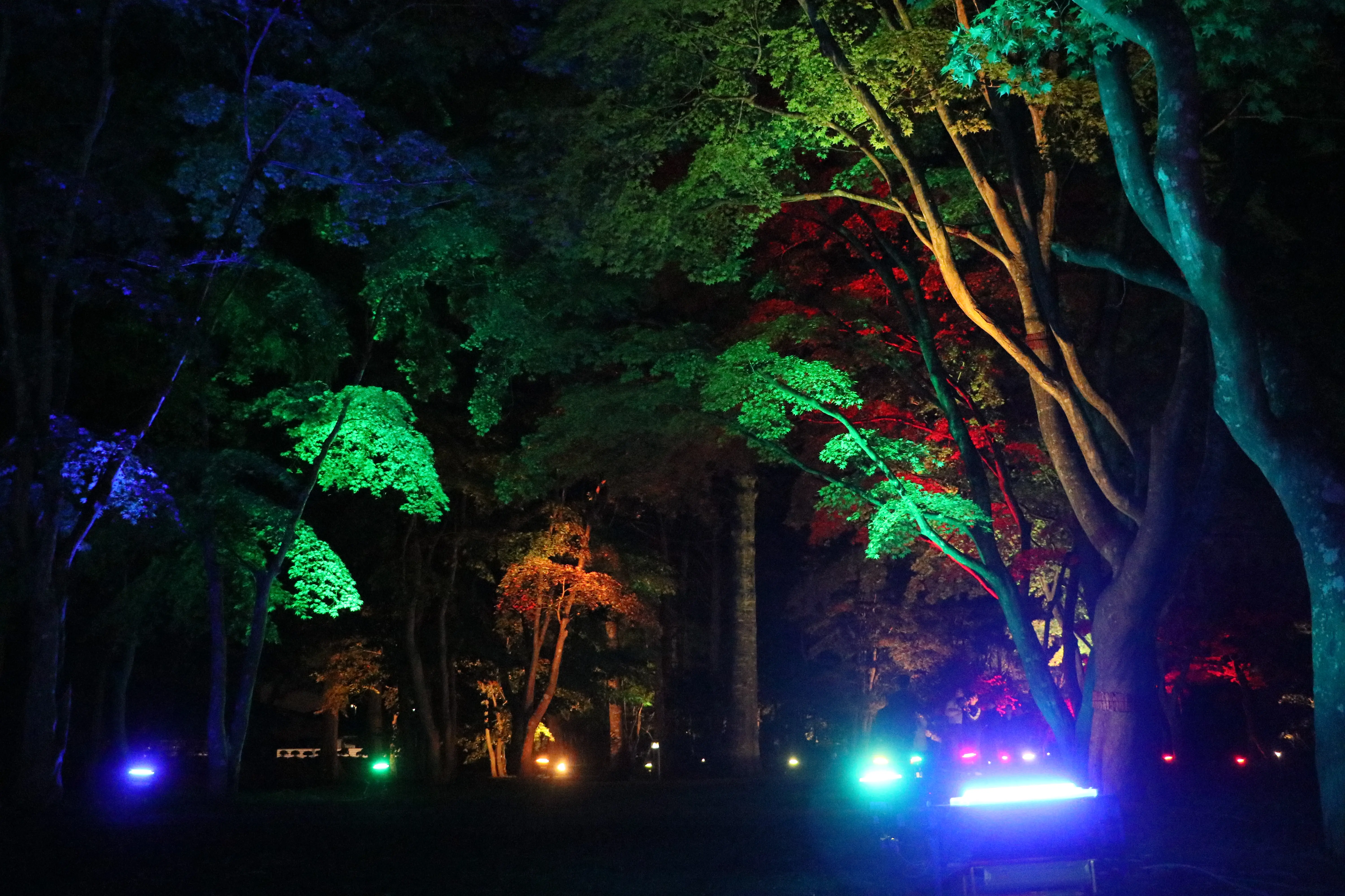 ※函館新聞撮影※見晴公園10月14日２.JPG