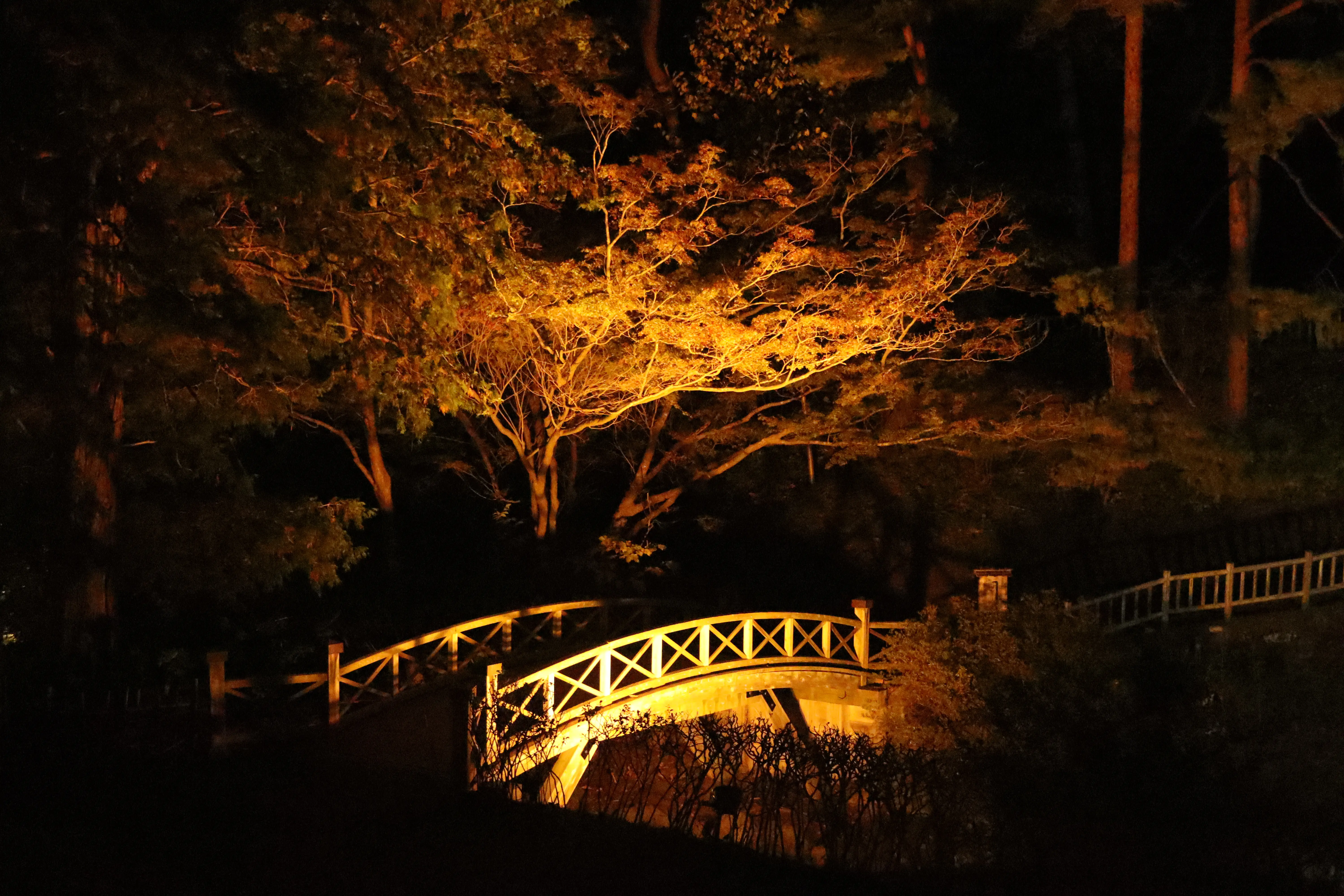 橋