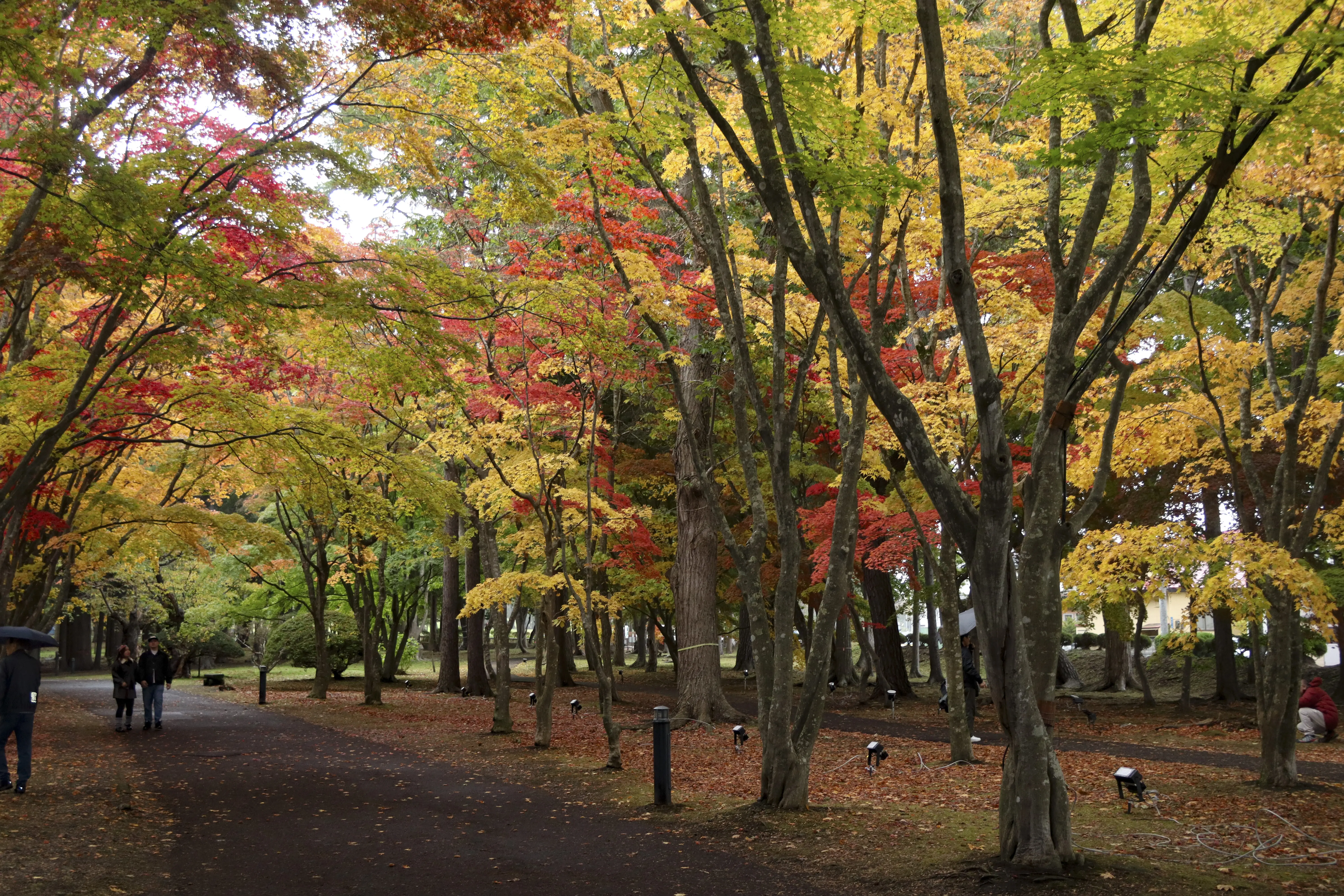 10月30日、園路
