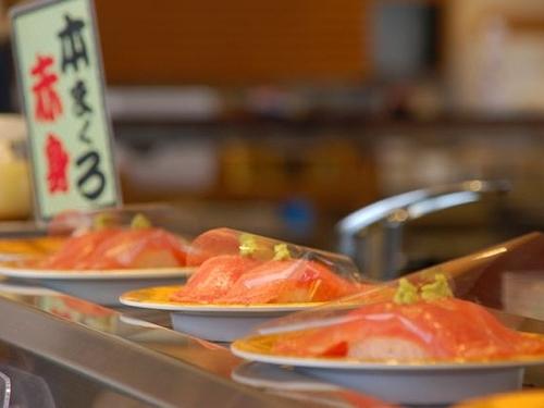 函太郎 sub2_130111b.jpg