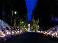 北斗光回廊　トラピスト通り並木道ライトアップ