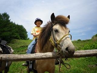 小学生でも、乗り台なしでまたげます。