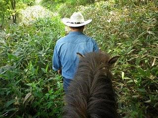 実際に乗ってみると、目線がかなり変わります。