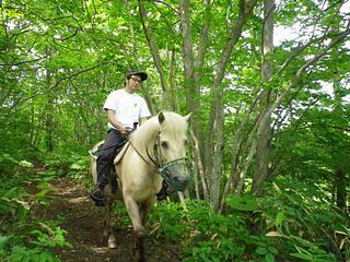 乗馬。ゆったりとした時間が流れます。