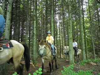 初めての乗馬で緊張ぎみの小学生の子ども