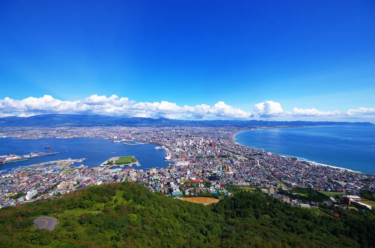 The_view_from_Mt_Hakodate.jpg