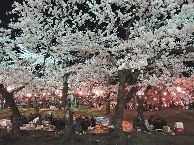 五稜郭のお花見プラン（ジンギスカンセット）
