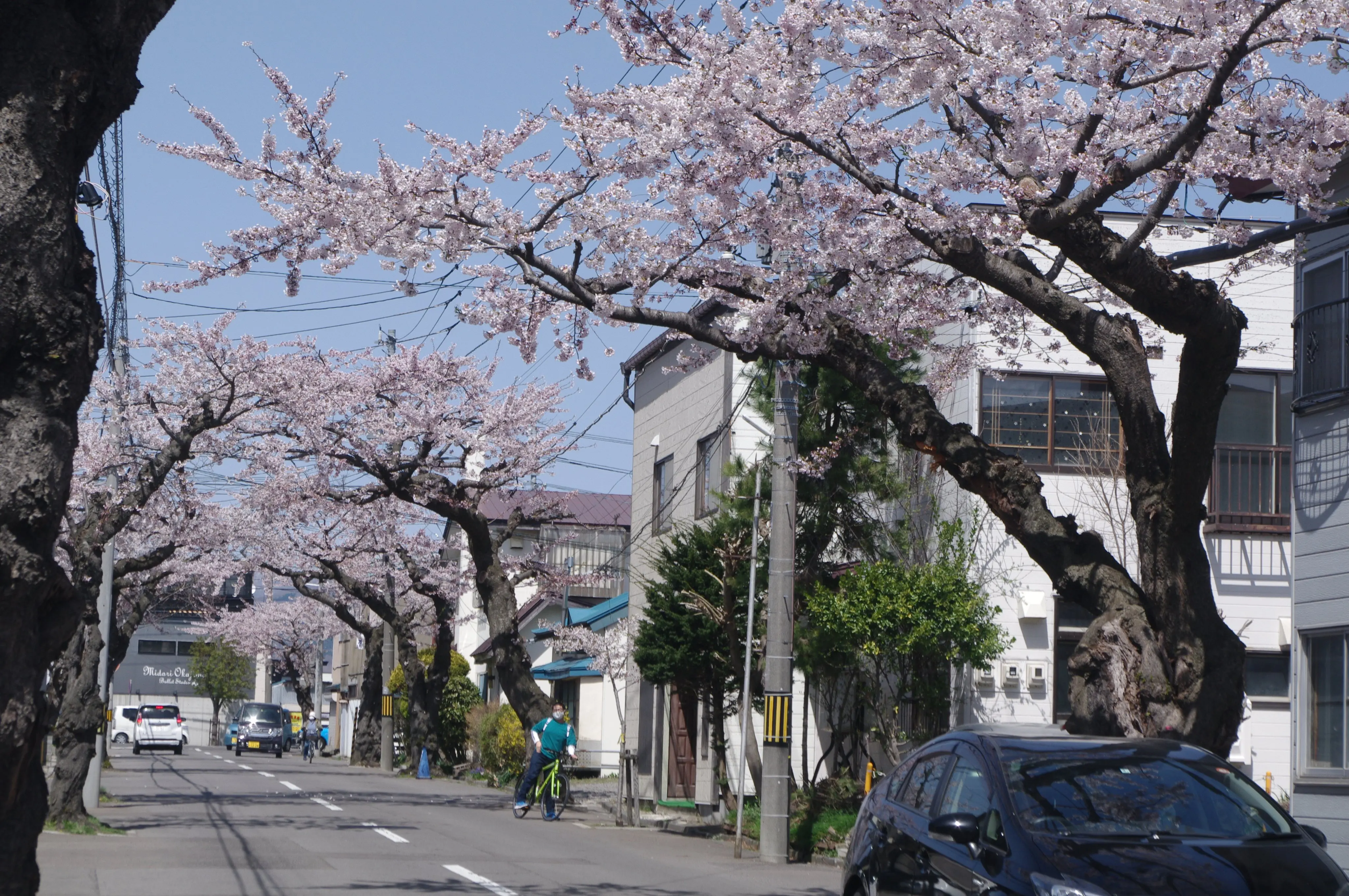 ※函館新聞社撮影※桜が丘通01.jpg