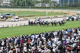 函館競馬