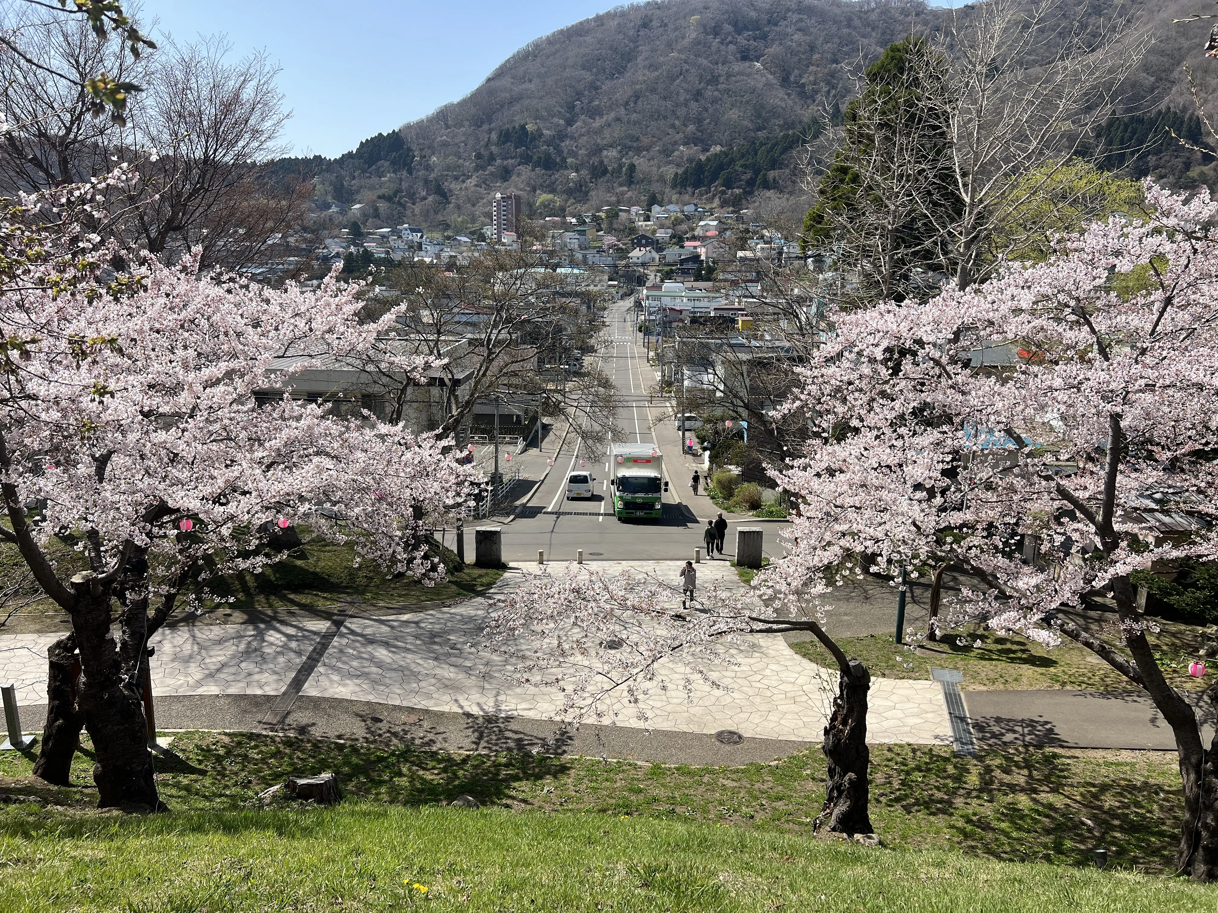 ※函館市観光部撮影※函館公園260420 (1).jpeg
