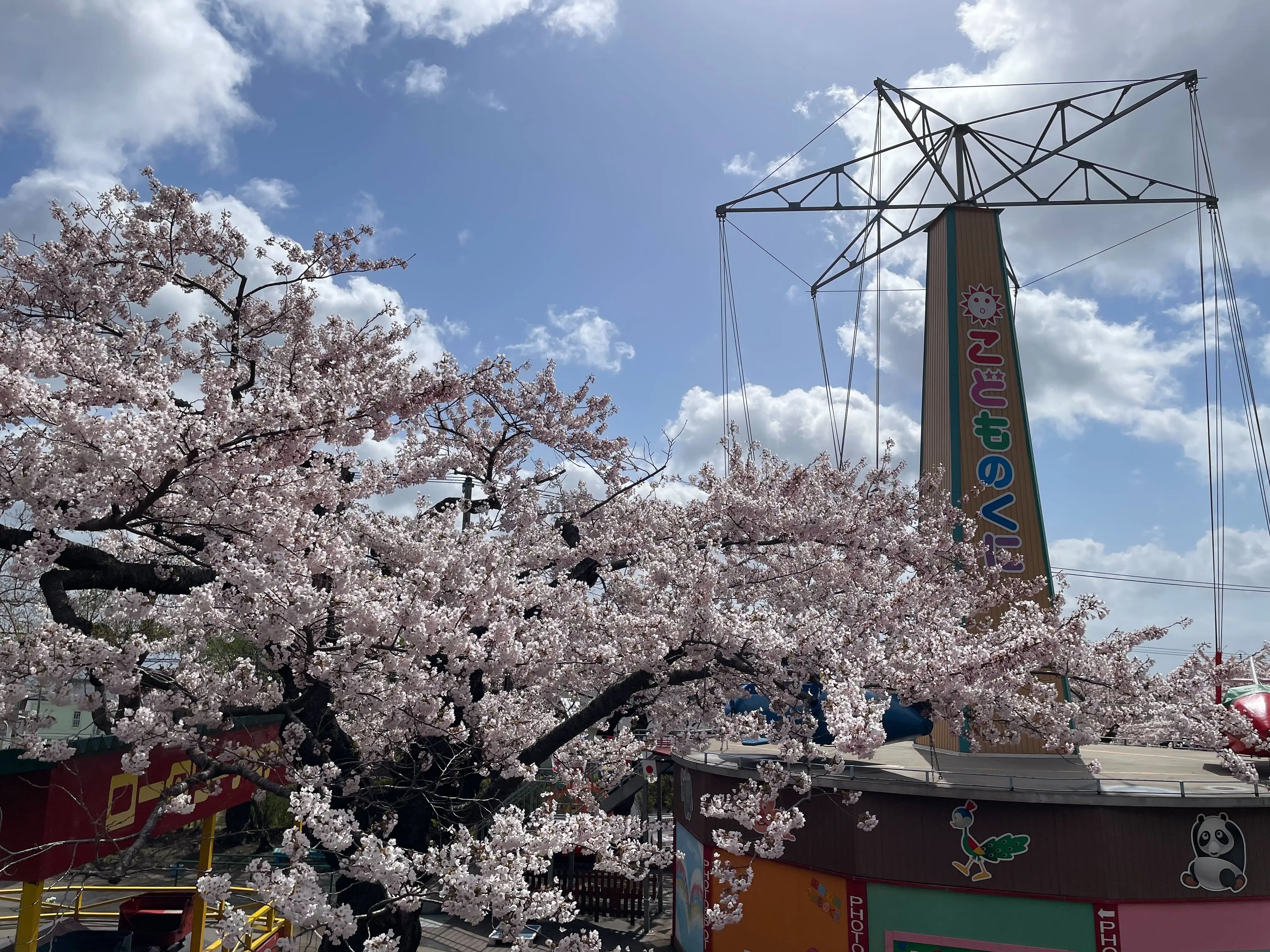 ※函館市撮影※0421函館公園 (5).jpg