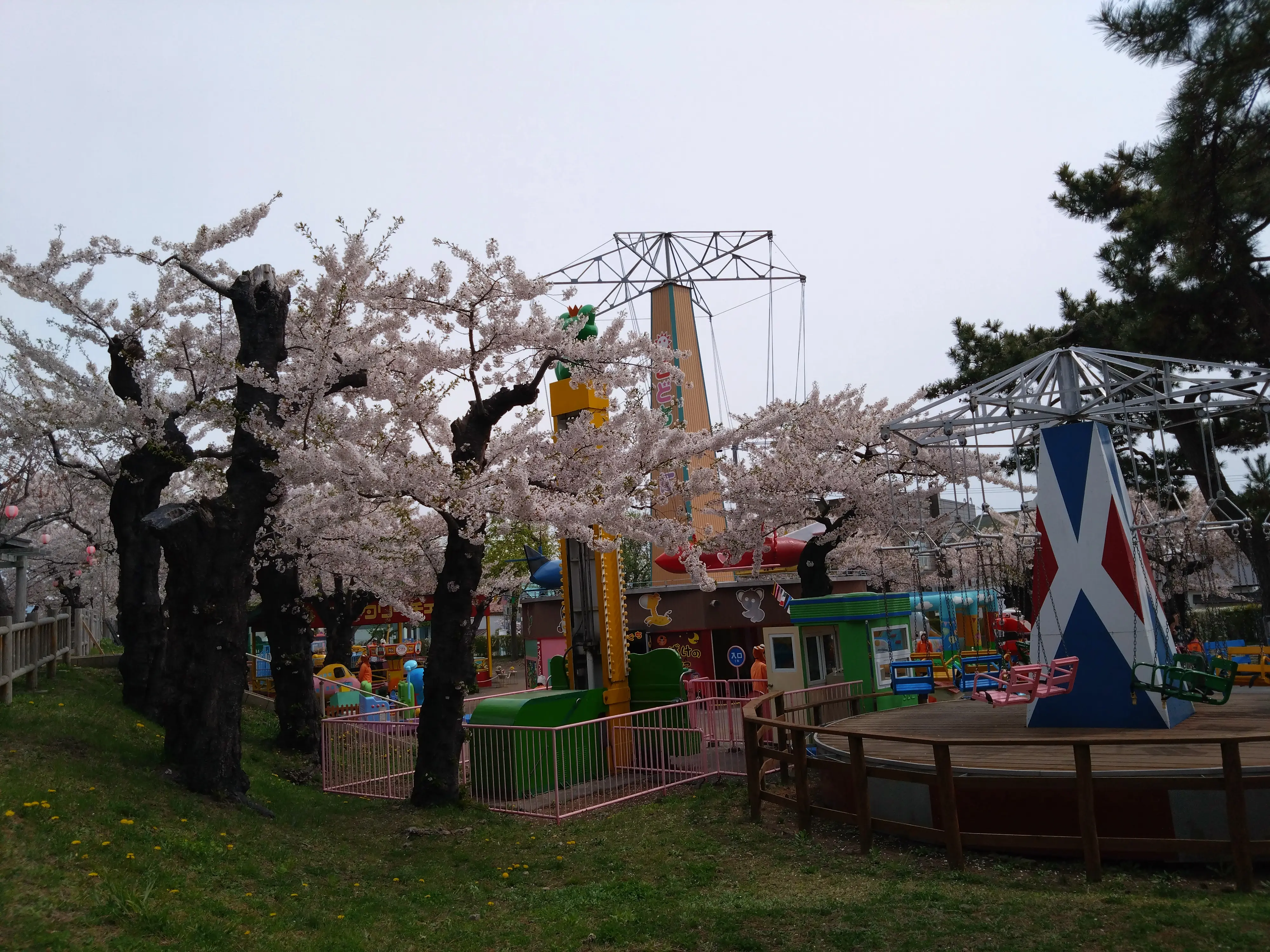 ※函館市撮影※240627函館公園 (3).JPG