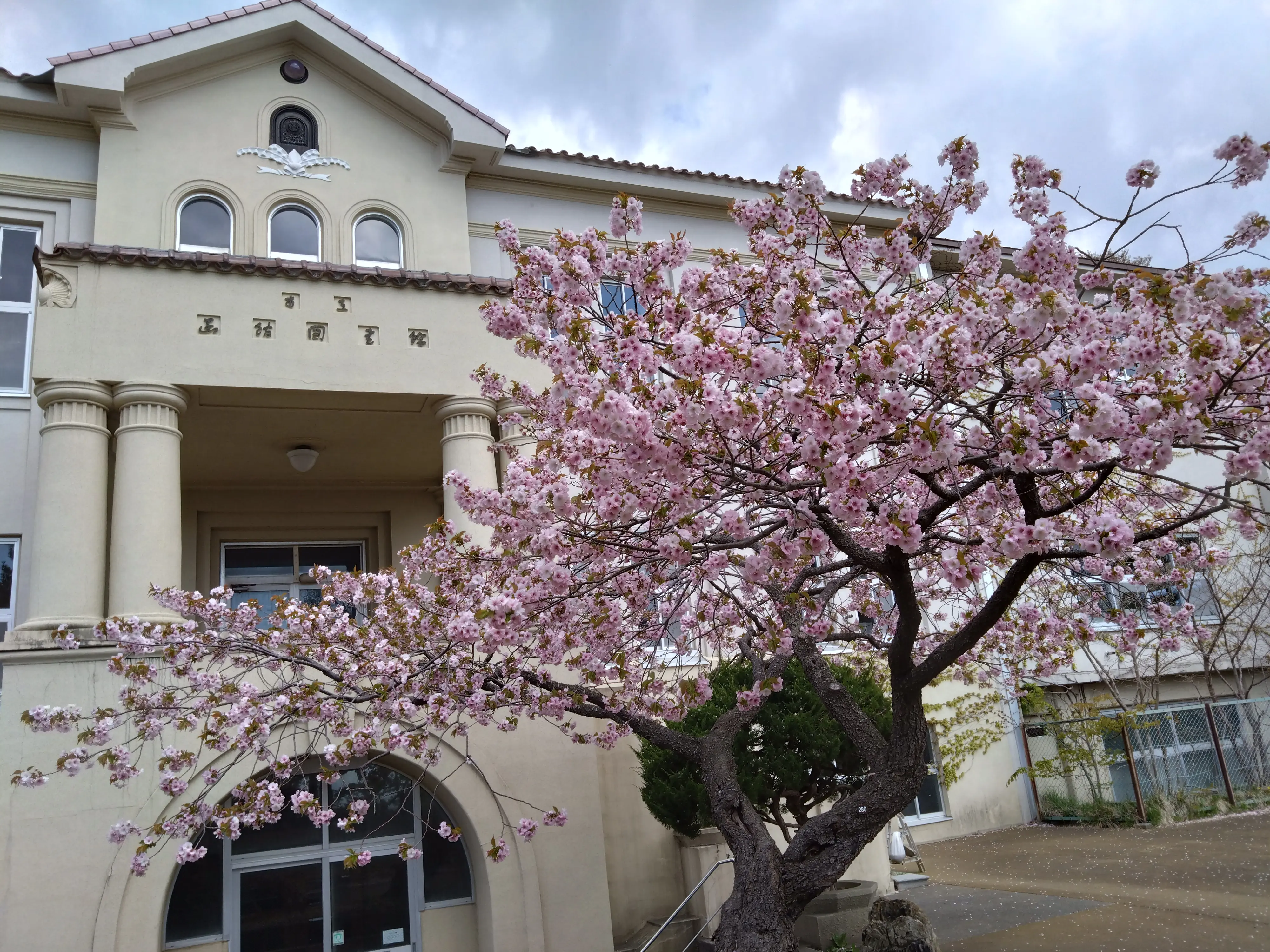 ※函館市撮影※260430函館公園 (3).JPG