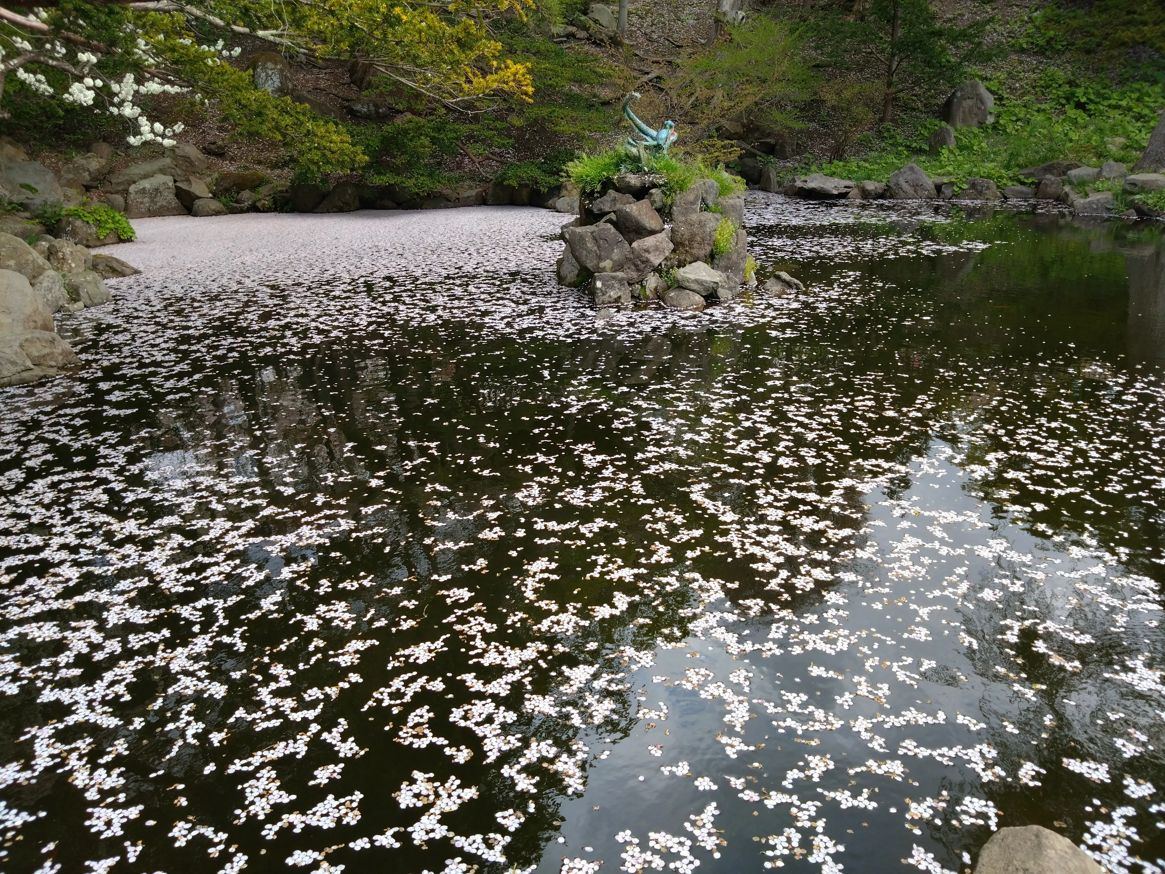 ※函館市撮影※260430函館公園 (4).JPG