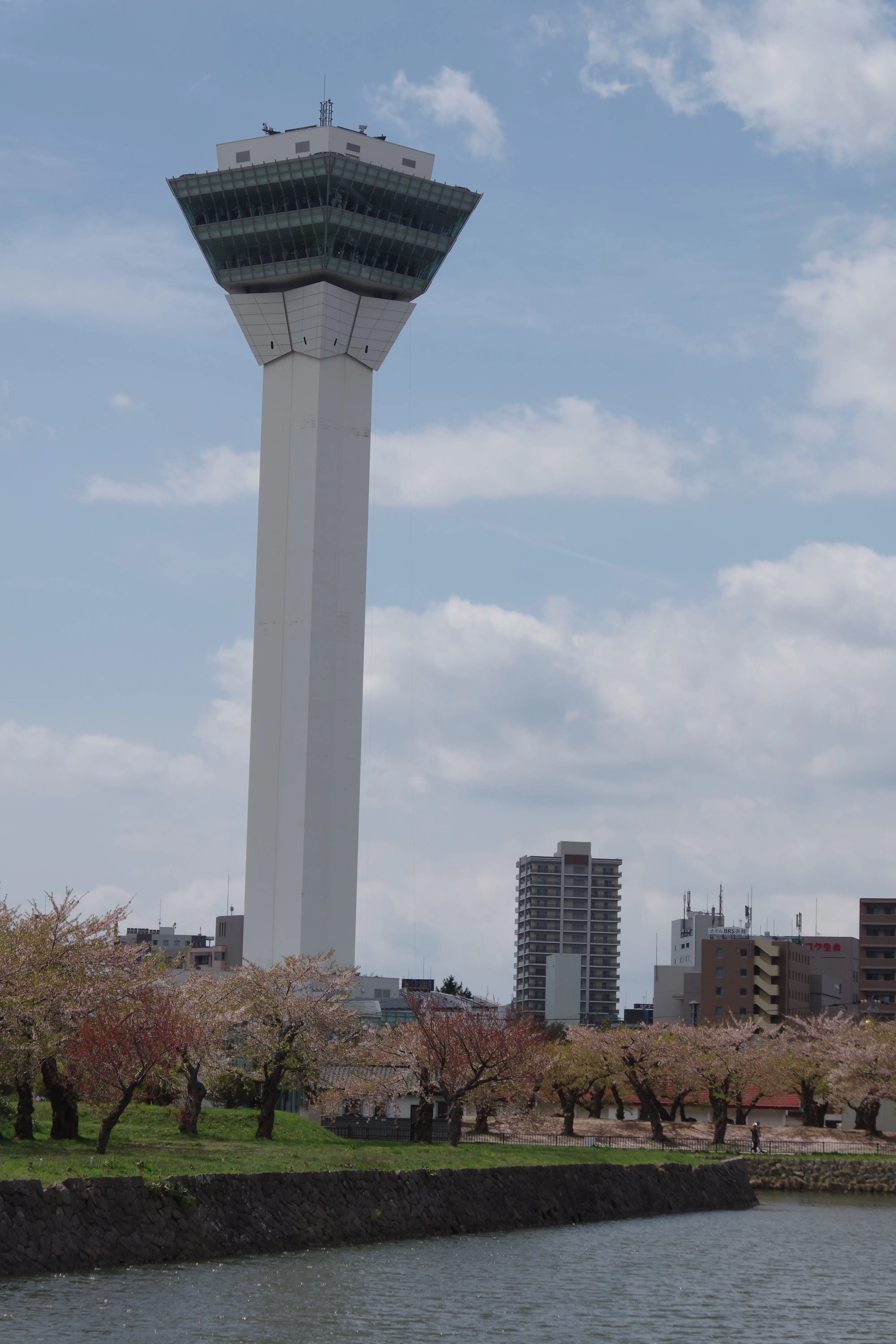 ※函新撮影※260430五稜郭公園 (1).JPG