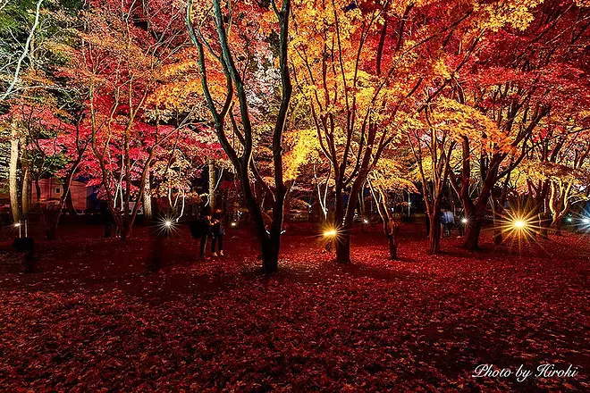 函館で紅葉が楽しめる、おすすめスポット14