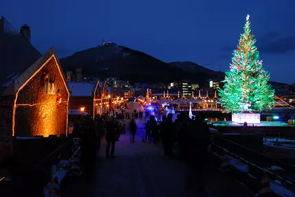 Hakodate_Christmas_Fantasy-2.jpg