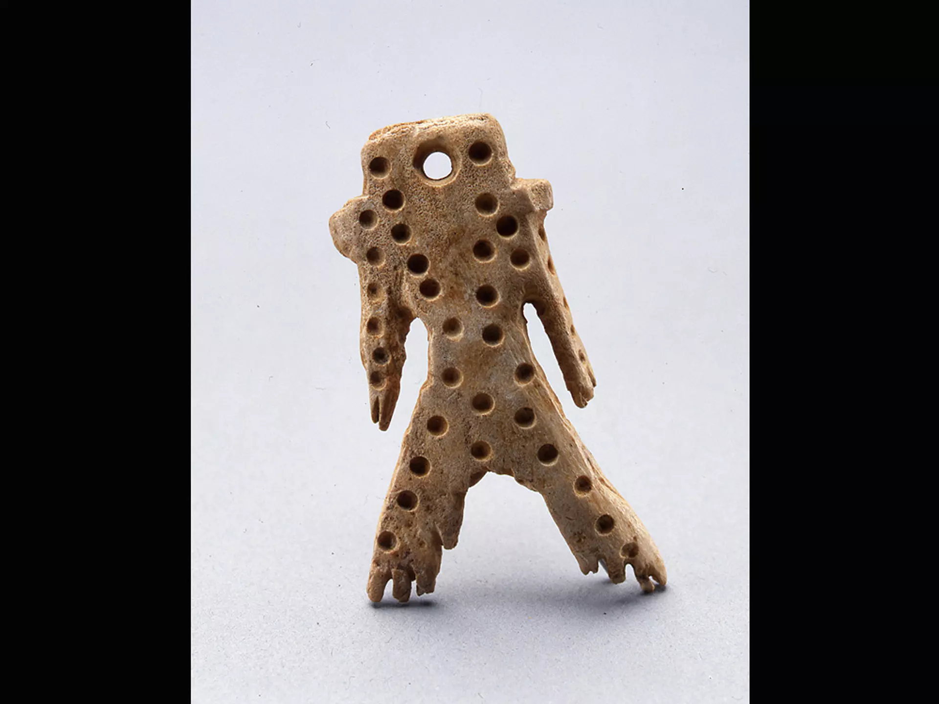 【終了】市立函館博物館企画展 津軽海峡北岸の縄文遺跡 イベント一覧 はこぶら